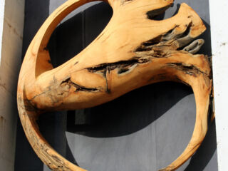 tamangur-rebekka-020