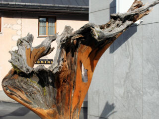 tamangur-rebekka-023